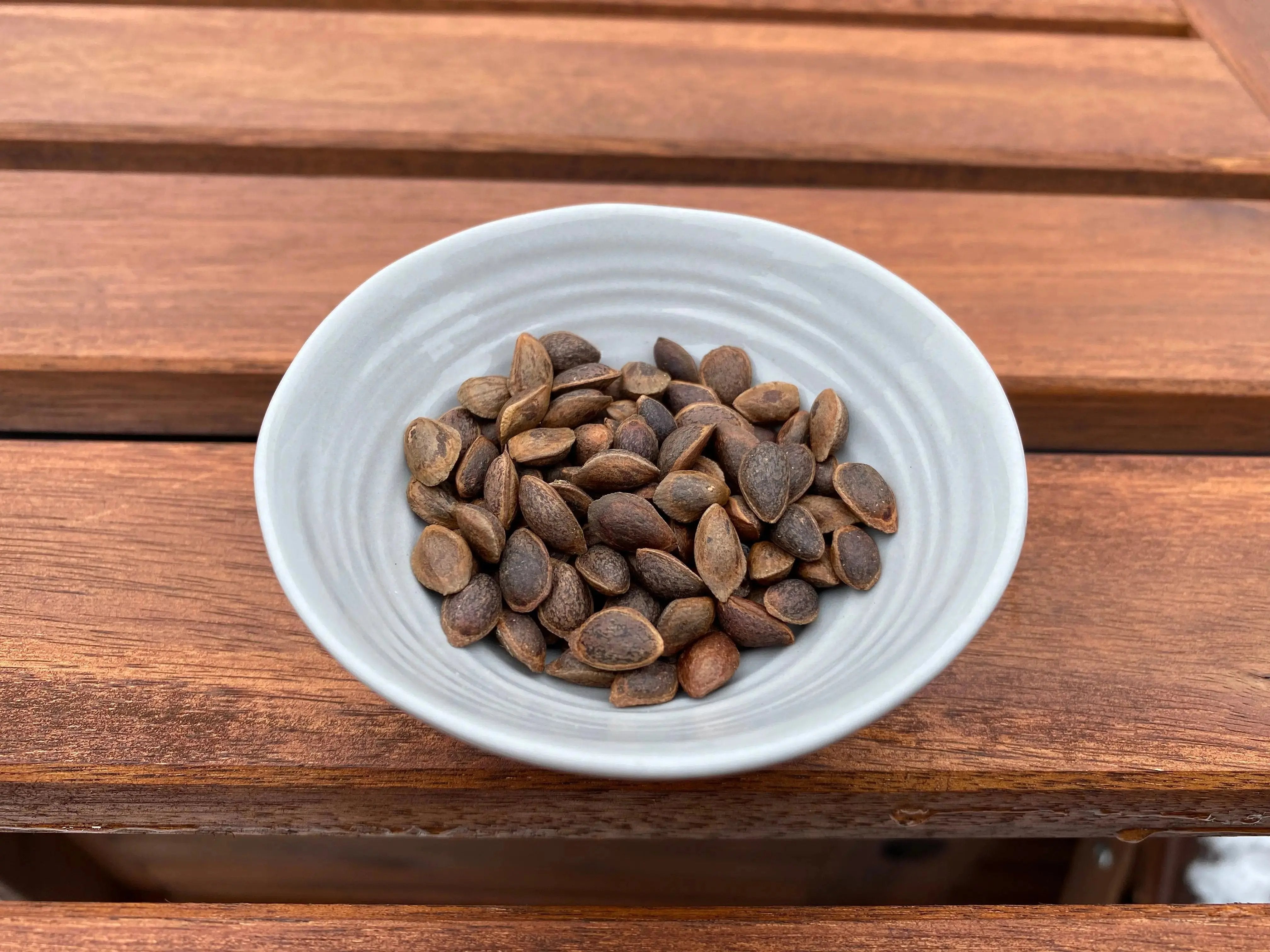 Pinus parviflora (JWP) var. Akaishi & Ishizuchi CB Seeds