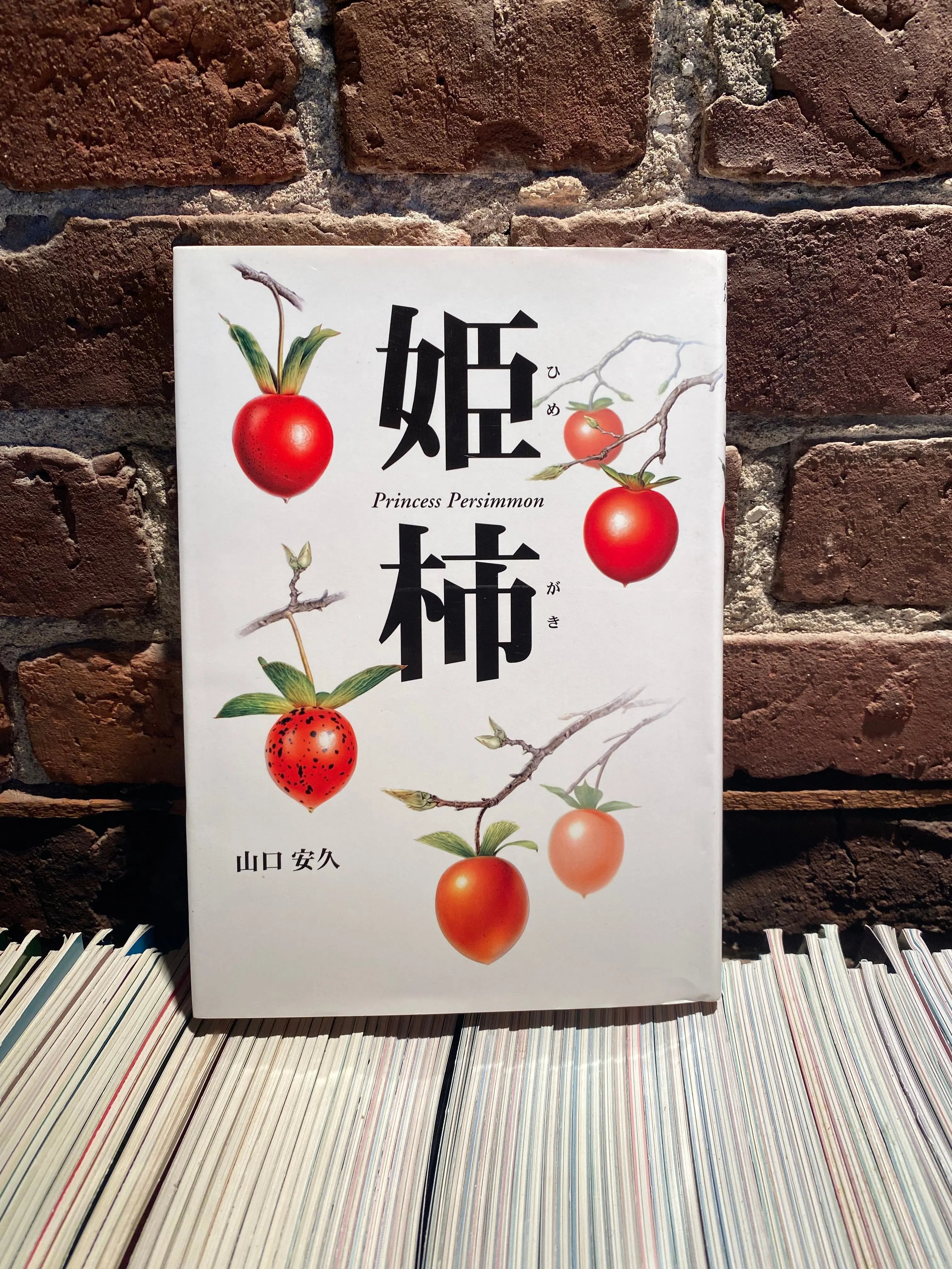 HIME GAKI (Persimmons) CB Books