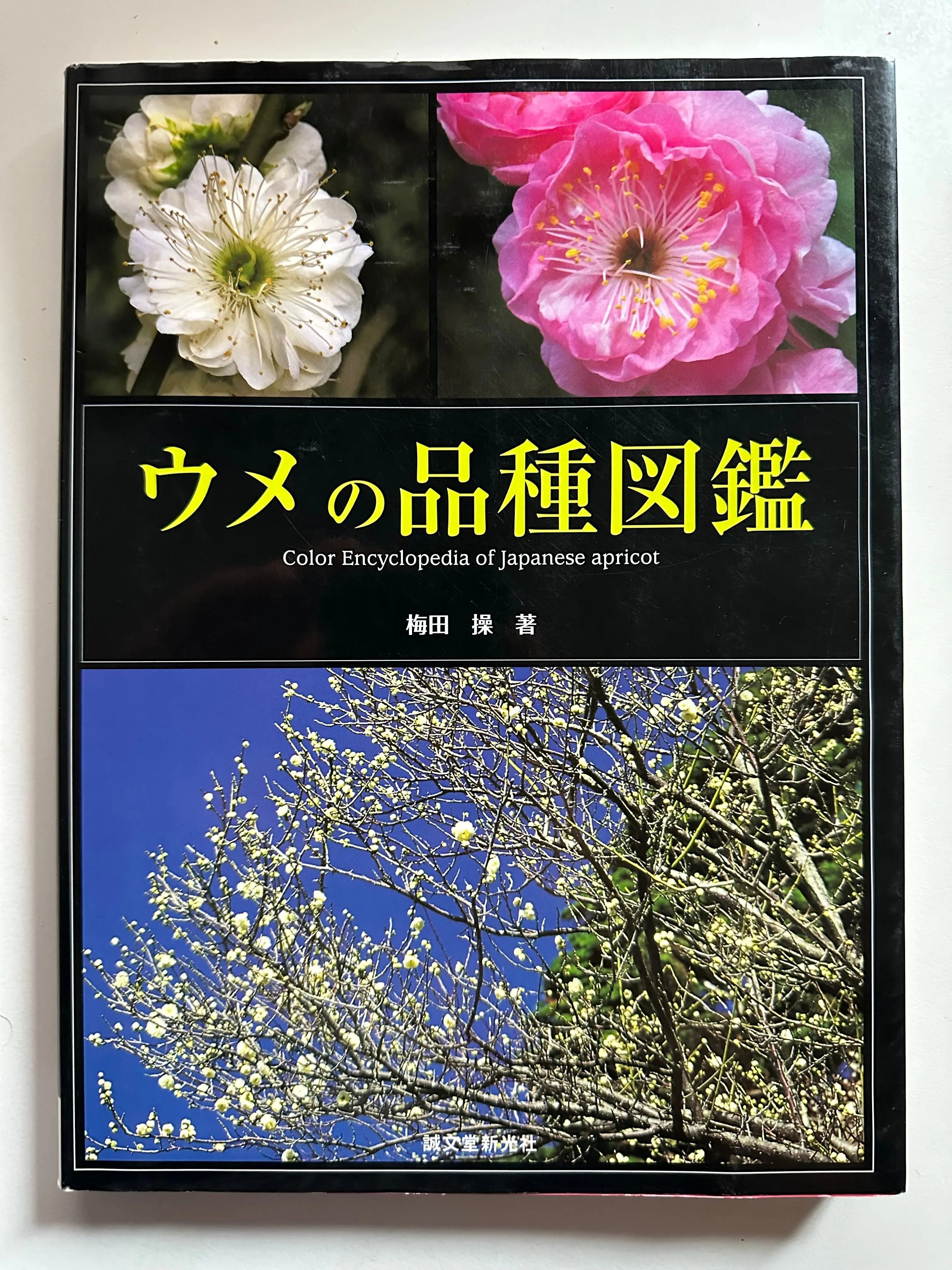 Ume Encyclopedia CB Books