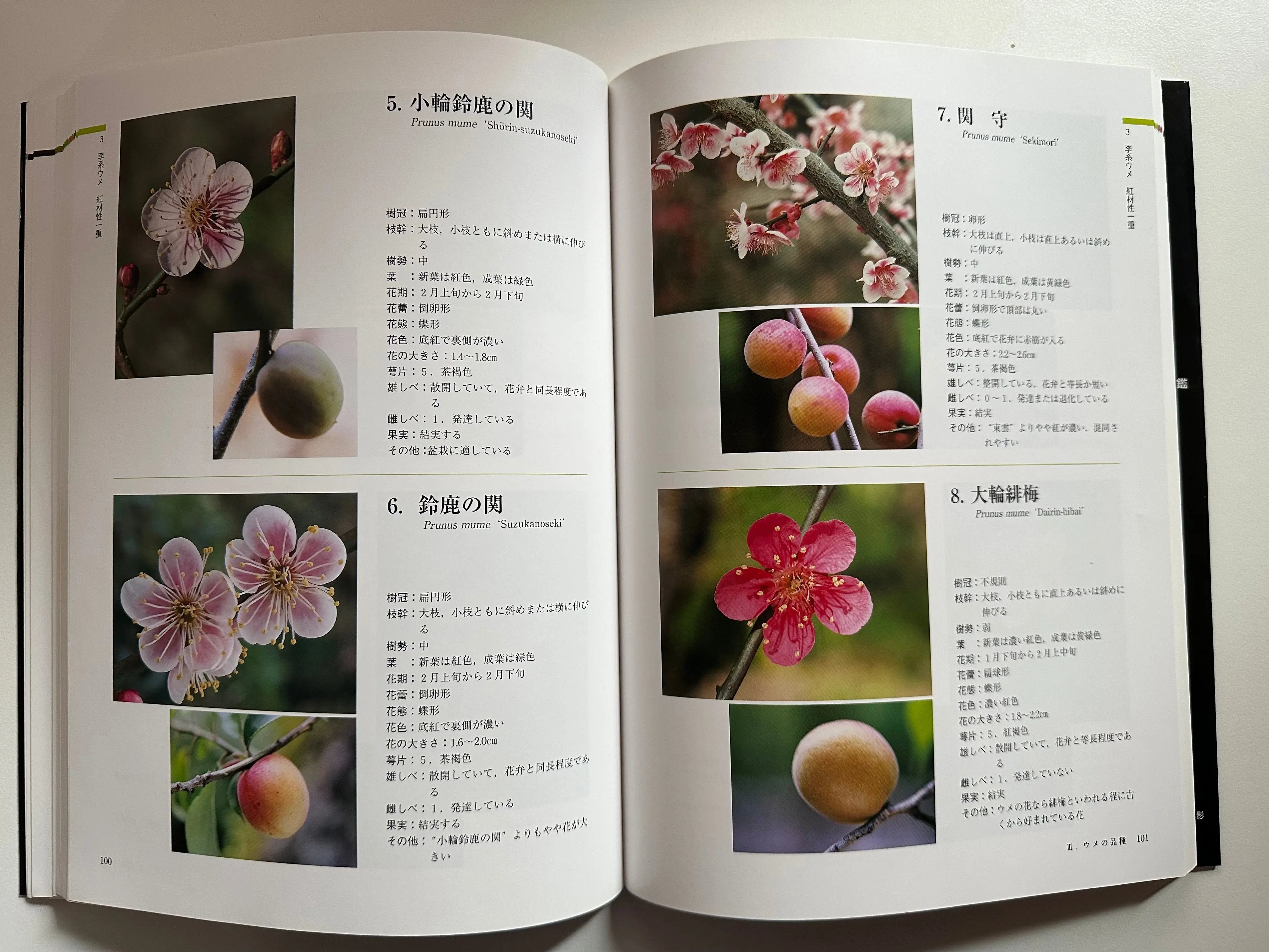Ume Encyclopedia CB Books