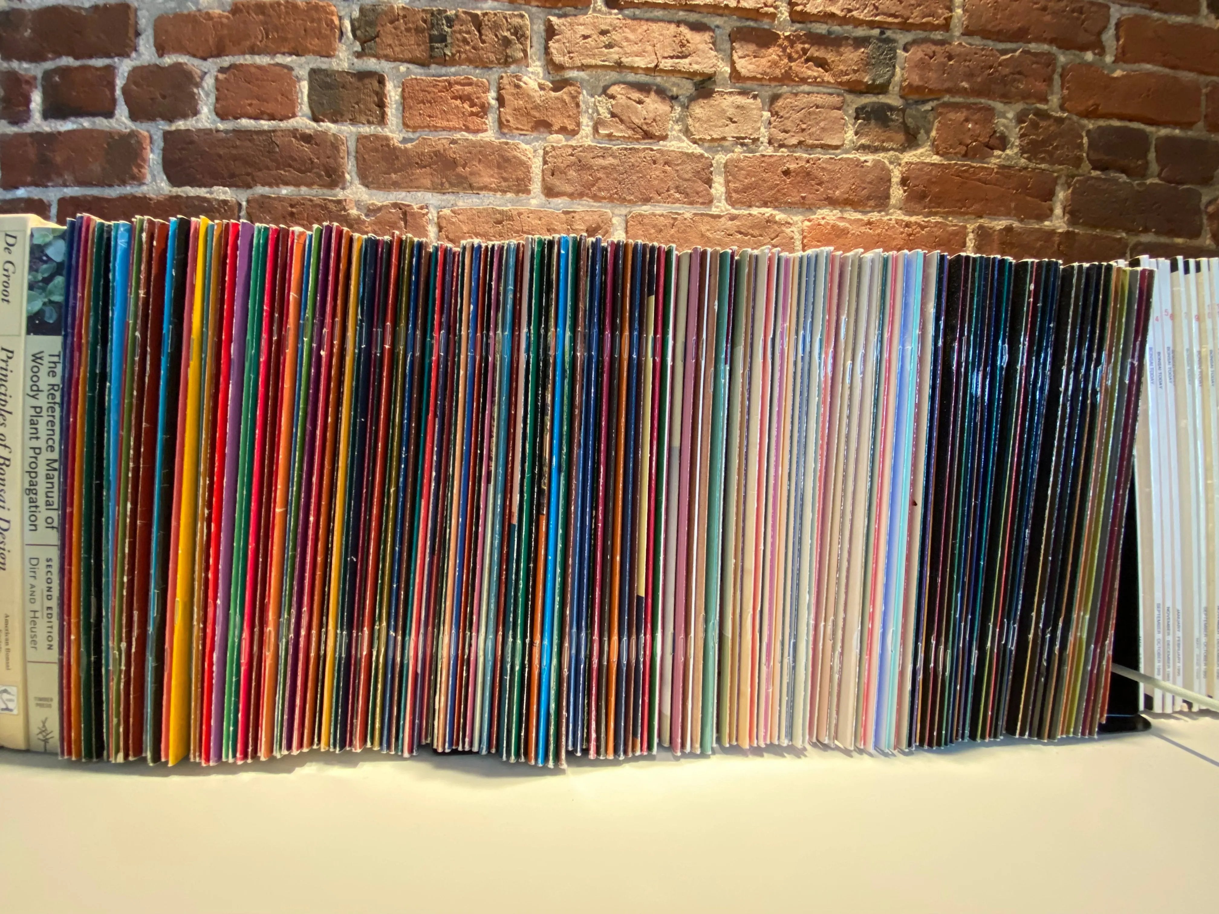 INTERNATIONAL BONSAI COMPLETE COLLECTION CB Books