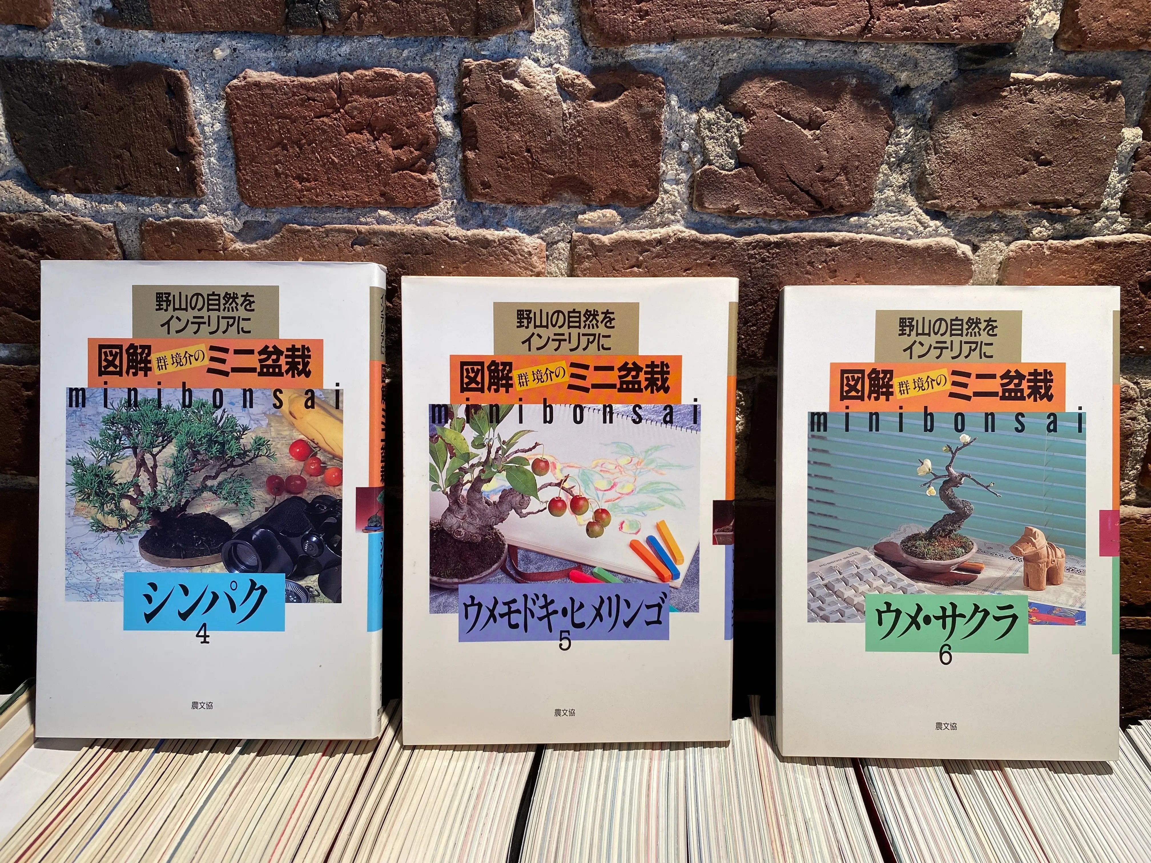 Kyosuke Gun's Illustrated mini bonsai CB Books