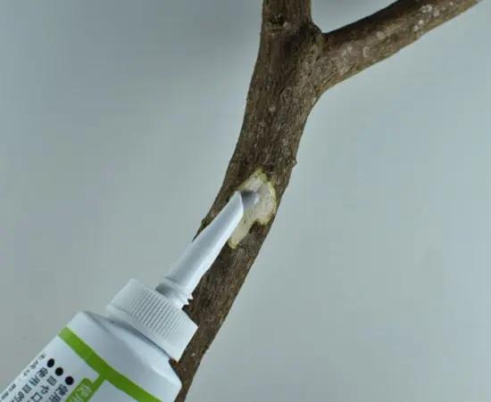 Kiyonal Ace CB Tools