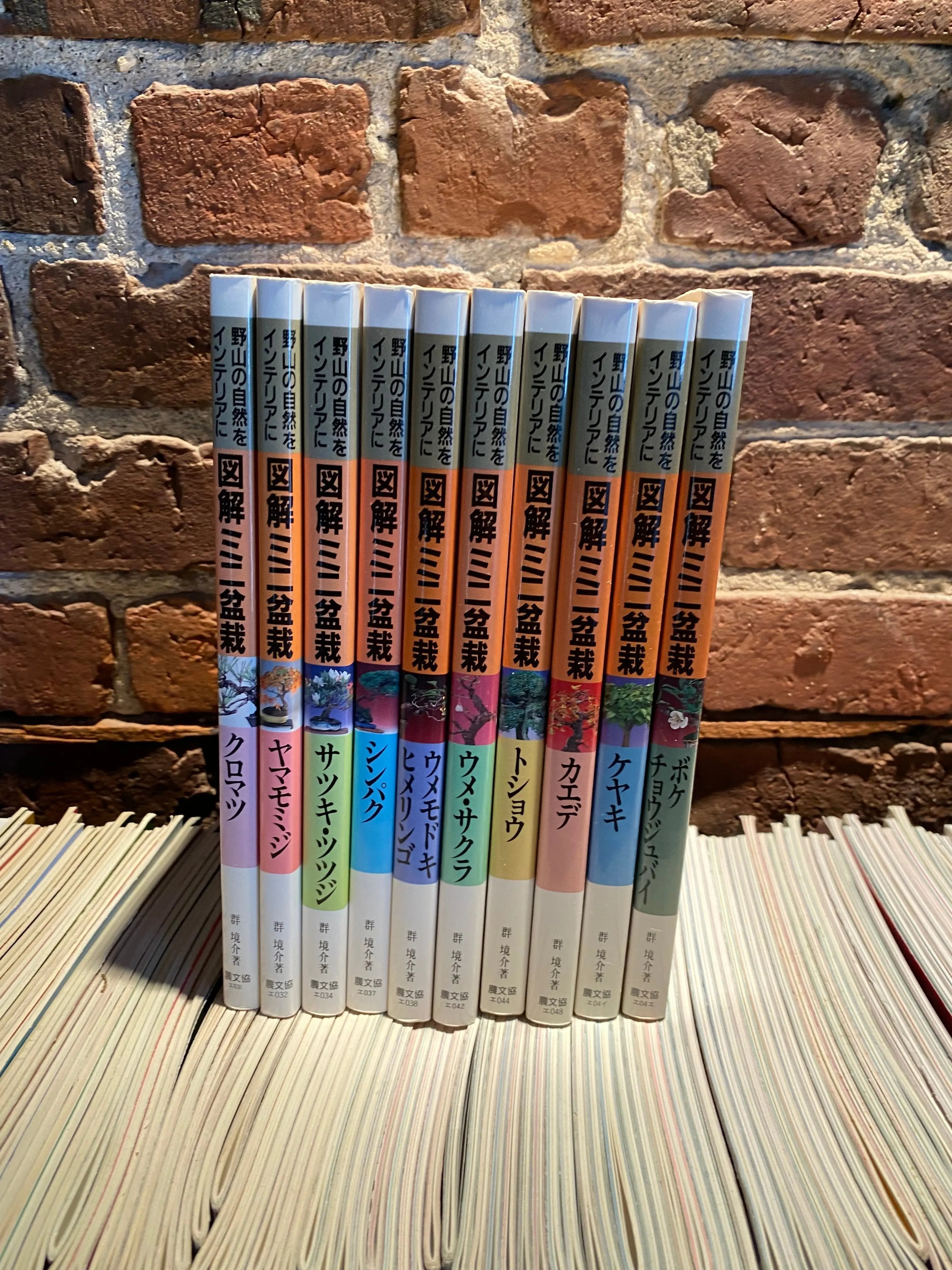 Kyosuke Gun's Illustrated mini bonsai CB Books